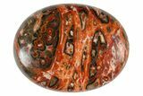 1.7" Polished Leopard Skin Jasper Pocket Stones - Photo 2